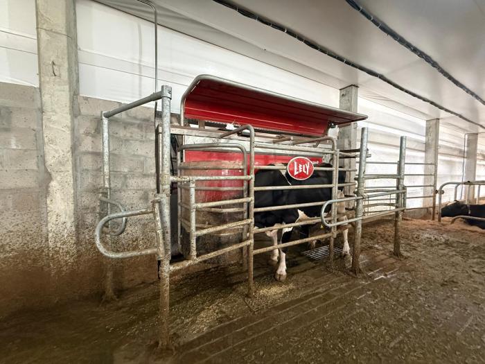 Com incentivo da Administração Municipal, produtor de Relvado investe em ordenha robotizada