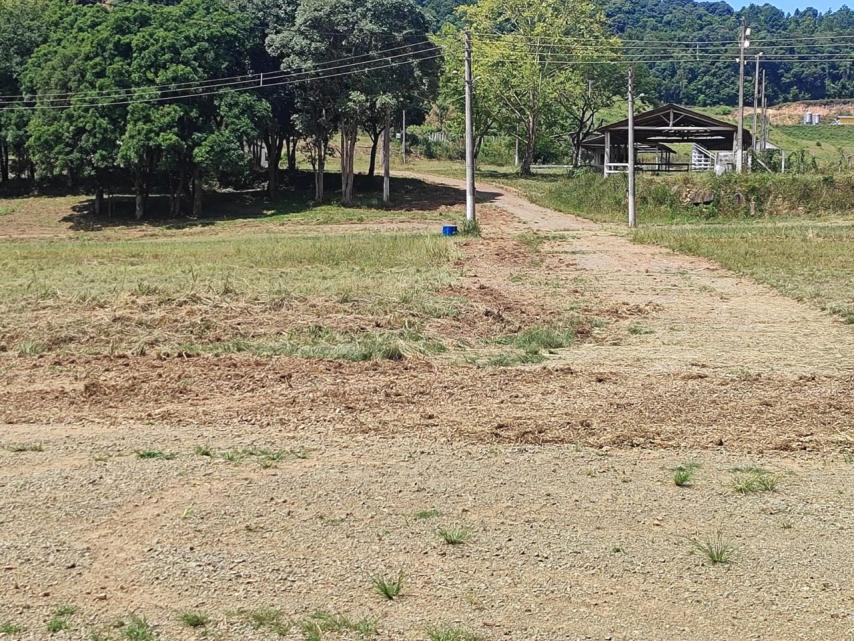 Imagem sem descrição